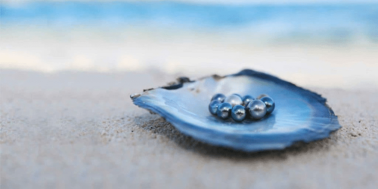 La légende Polynésienne - La Naissance de la Perle Noire - Poe Ora Création - Bijoux en perle de tahiti fabriqué en france